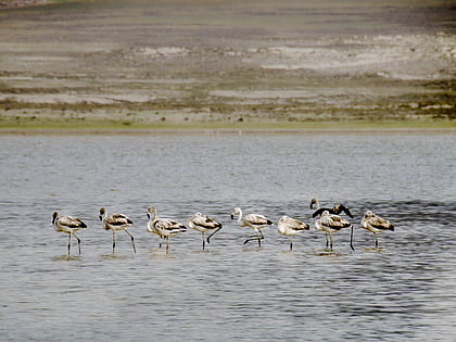 tajzara lake cordillera de sama biological reserve