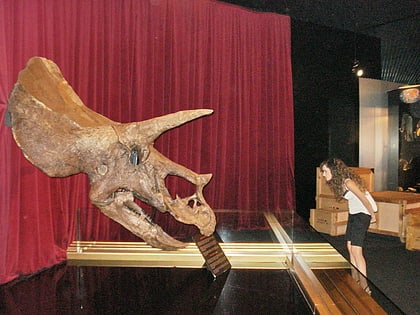 triceratops sacaba