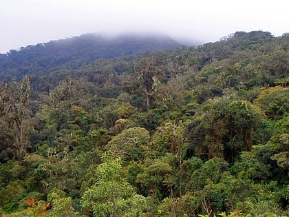 Amboró National Park