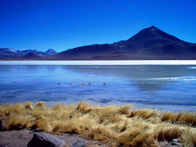 Laguna Blanca