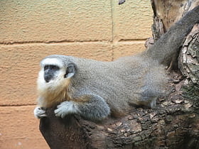 Parc zoologique municipal Quinzinho de Barros