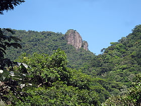 Park Narodowy Tijuca