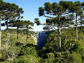 Parc national d'Aparados da Serra