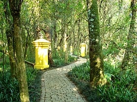 bosque de portugal kurytyba