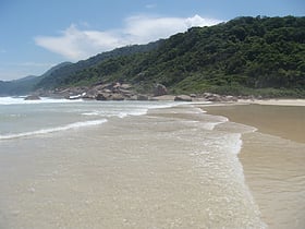 Park Stanowy Ilha Grande