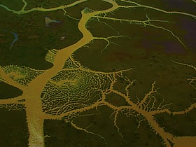 delta do parnaiba environmental protection area