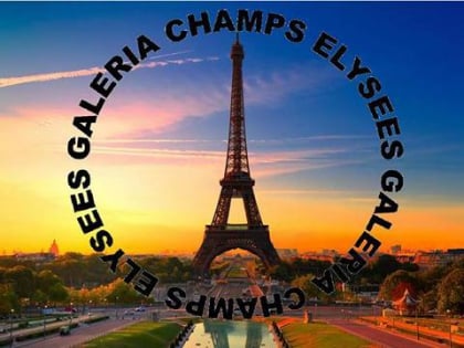 Galeria Champs Elysees