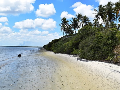 Restinga Island