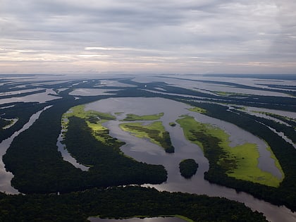 Central Amazon Ecological Corridor