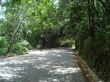 saltinho biological reserve