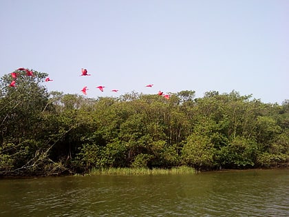 cananeia iguape peruibe environmental protection area