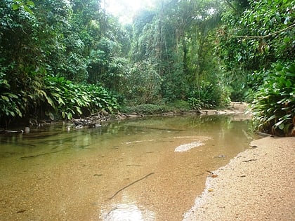 sebui private natural heritage reserve guaraquecaba environmental protection area