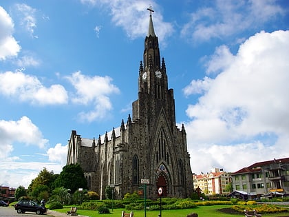 cathedral of our lady of lourdes canela