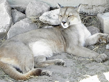 Pau Brasil National Park