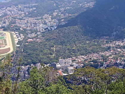 Jardín botánico de Río de Janeiro