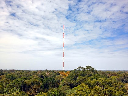 amazon tall tower observatory uatuma sustainable development reserve