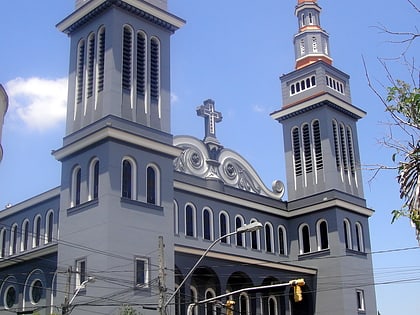 Catedral basílica de San Luis Gonzaga