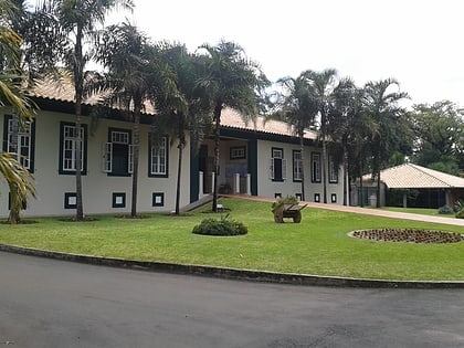 Instituto Plantarum