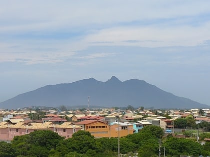 area de protecao ambiental da bacia do rio sao joao mico leao dourado macae de cima environmental protection area