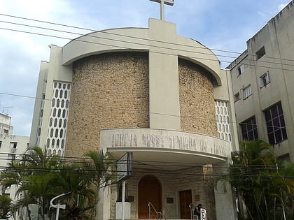 our lady of lebanon cathedral sao paulo