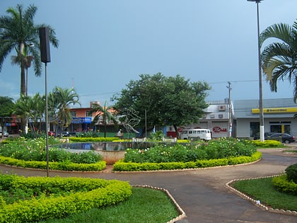 aparecida de goiania