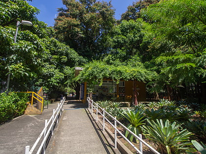 parque trianon sao paulo