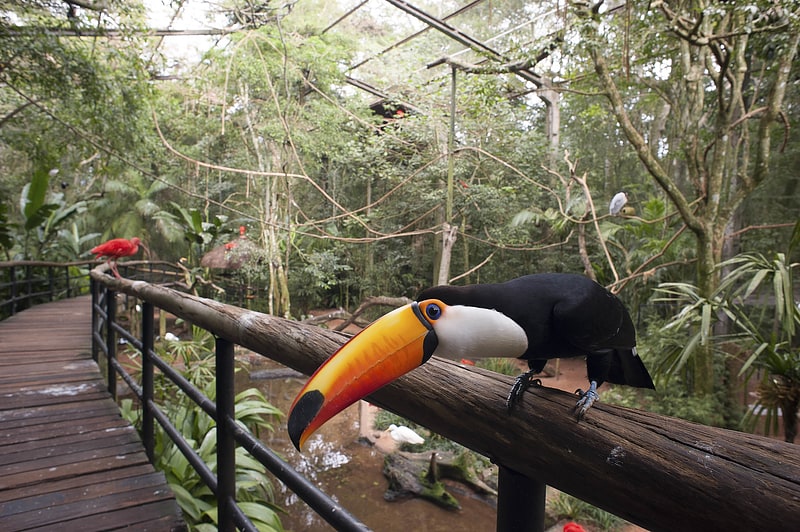 parque das aves foz do iguacu