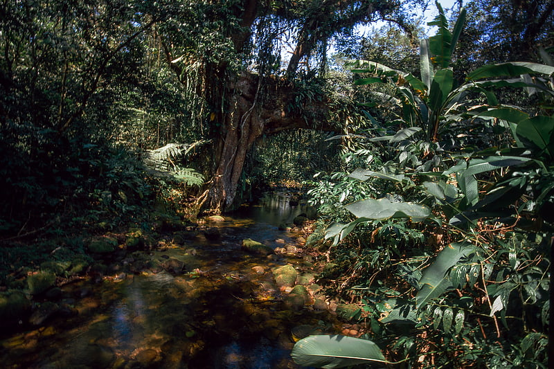 Guaraqueçaba Environmental Protection Area