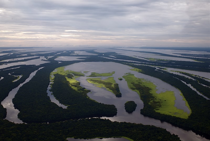 central amazon ecological corridor jutai solimoes ecological station