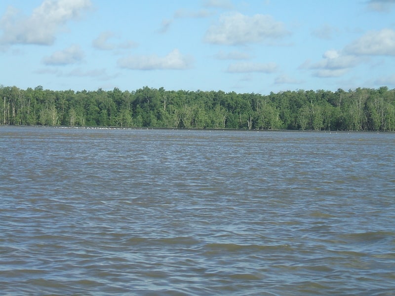 amapa mangroves park narodowy cabo orange