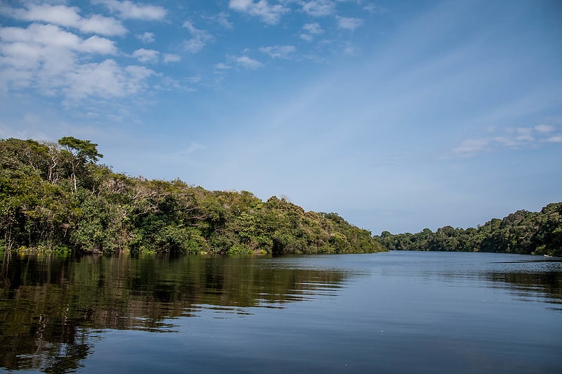 biome amazonien amana sustainable development reserve