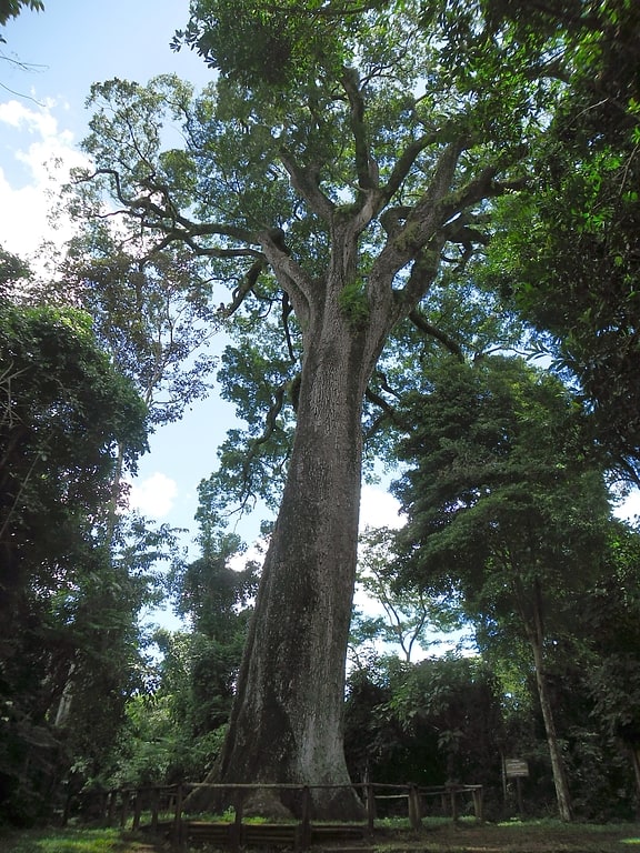 Park Stanowy Vassununga