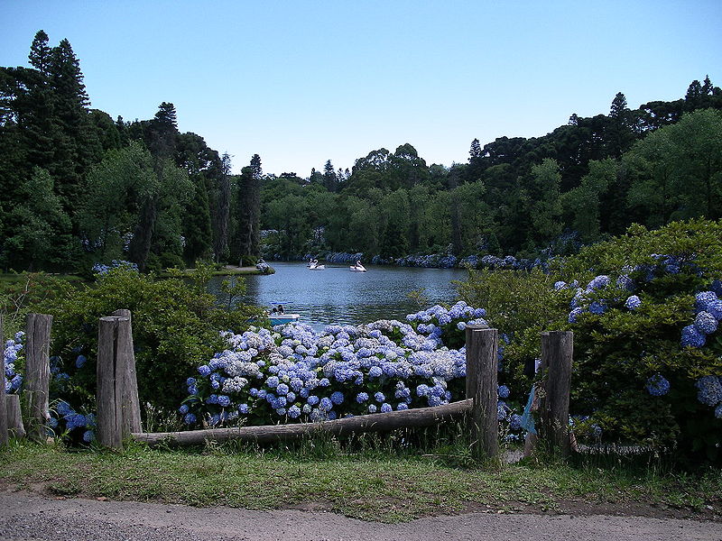 Lago Negro