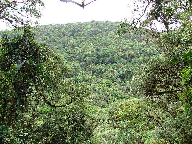 Carlos Botelho State Park