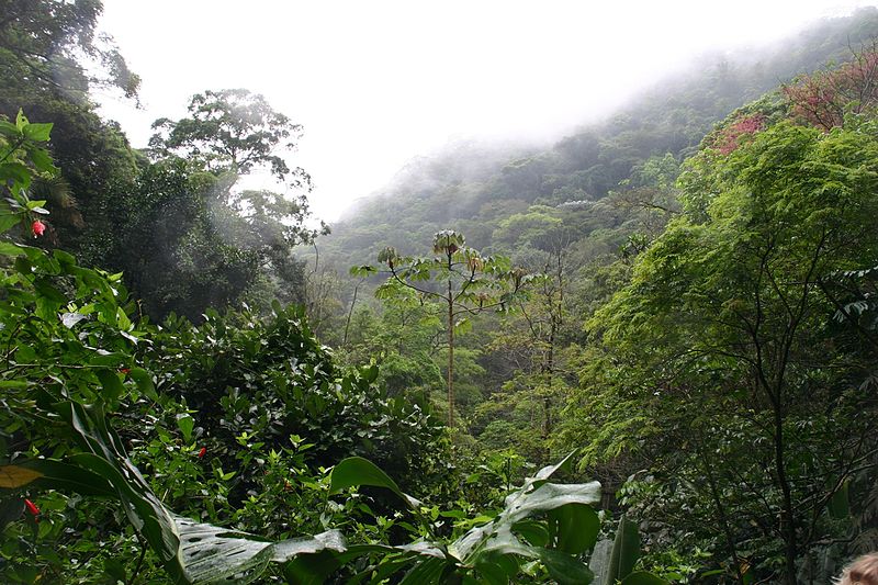 Nationalpark Tijuca