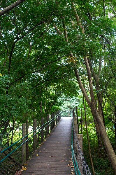 Parque Villa-Lobos