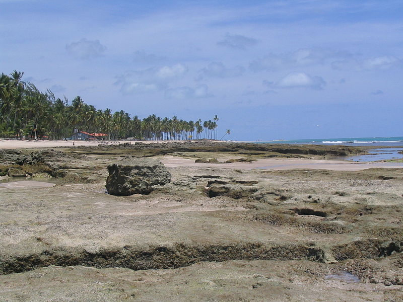 Tamandaré