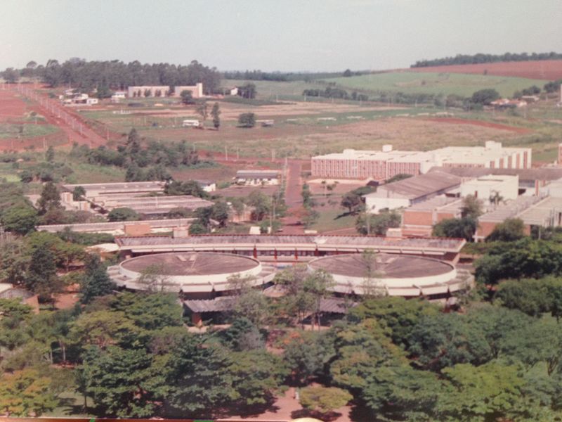 Universidad Estatal de Campinas