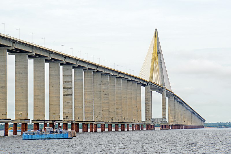 Rio Negro Bridge
