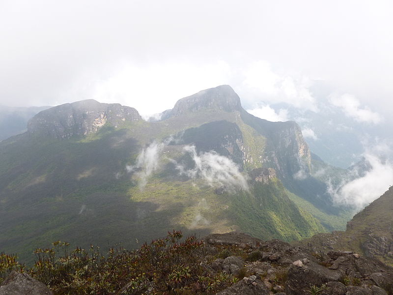 Parque nacional del Pico de la Neblina