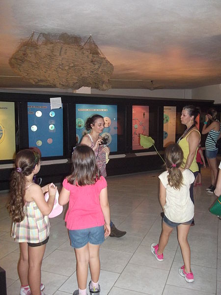 Museo de Ciencias Naturales de la Fundación Zoobotánica de Río Grande del Sur