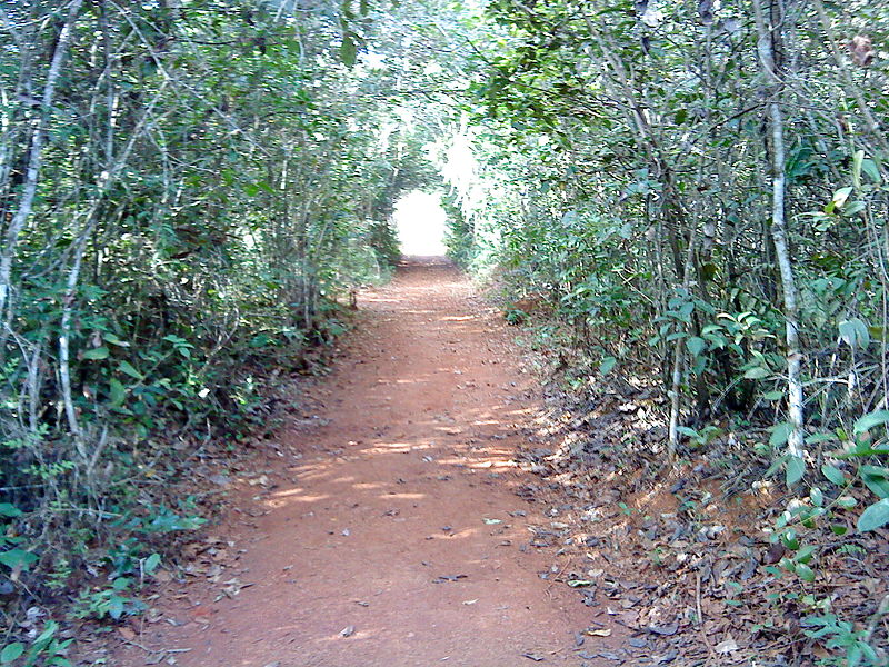 Parque del estado Sumidouro