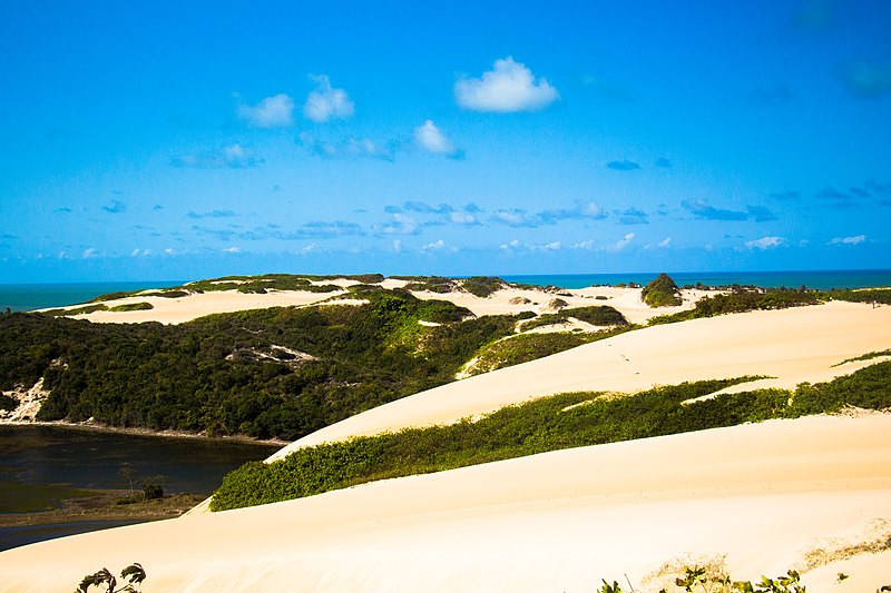 Natal Dunes State Park