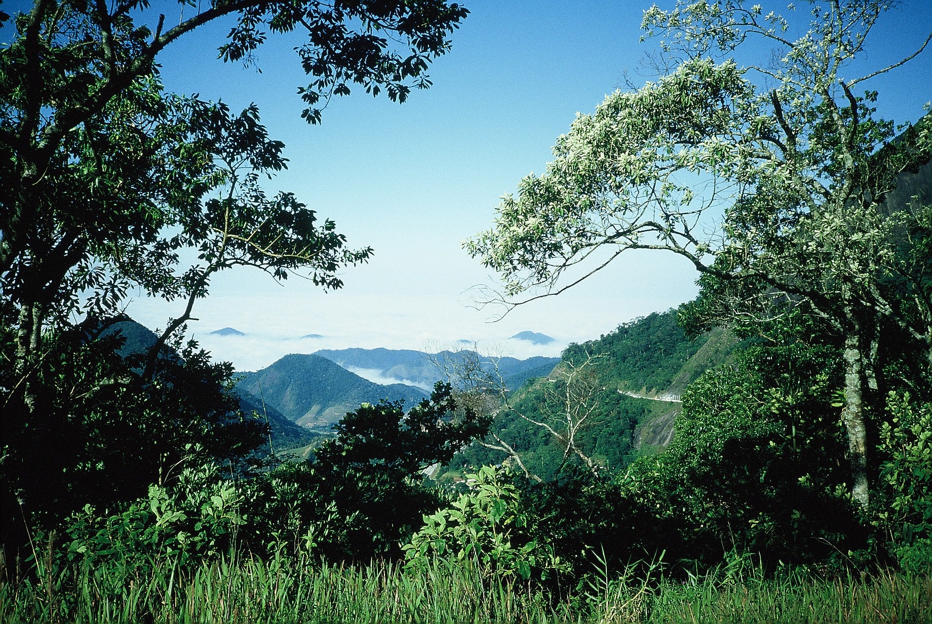 Parque nacional de la Sierra de Bocaina, Brasil