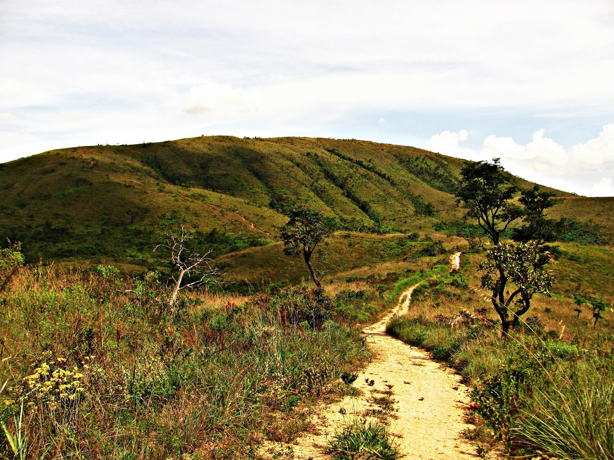 Park Stanowy Juqueri, Brazylia