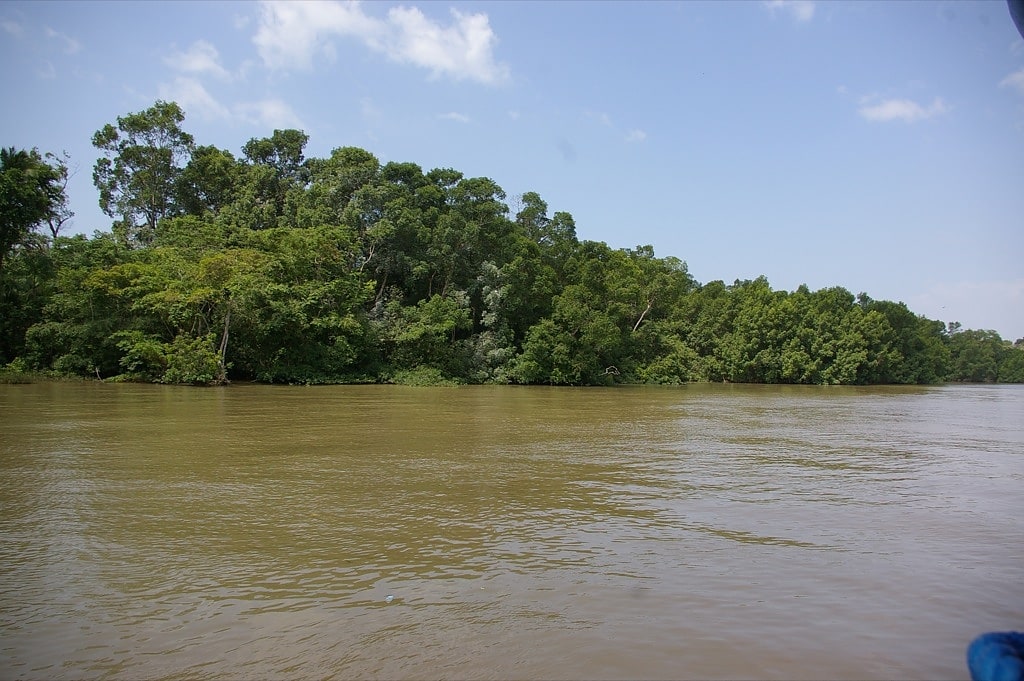 Marajó Archipelago Environmental Protection Area, Brazylia