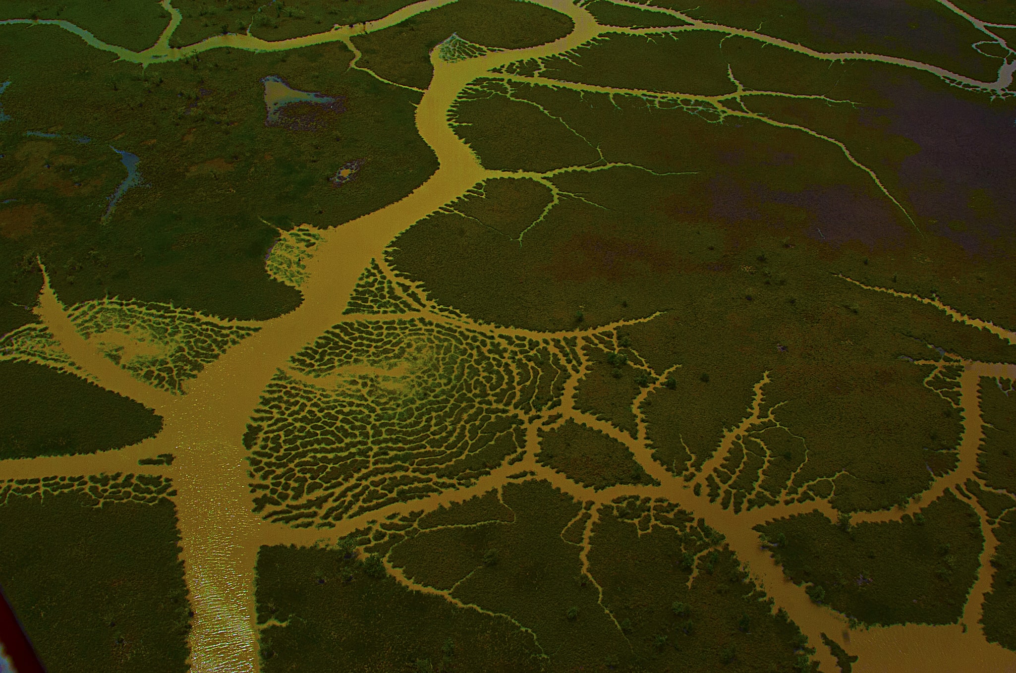 Delta do Parnaíba Environmental Protection Area, Brasilien