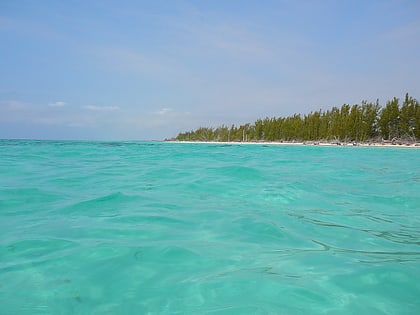 gran bahama