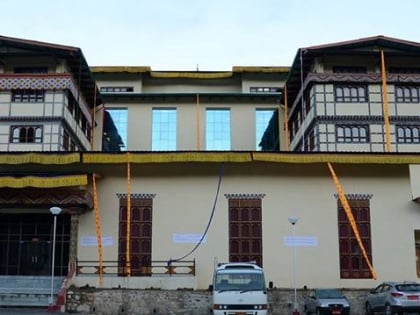 institute of traditional medicine services thimphu