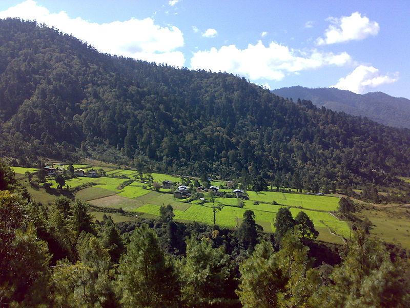 Valle de Phobjika